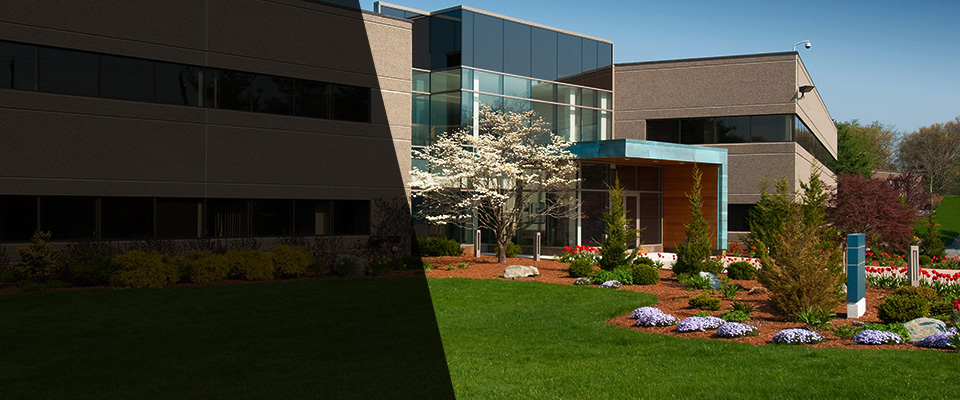 Forest Grove Landscapers